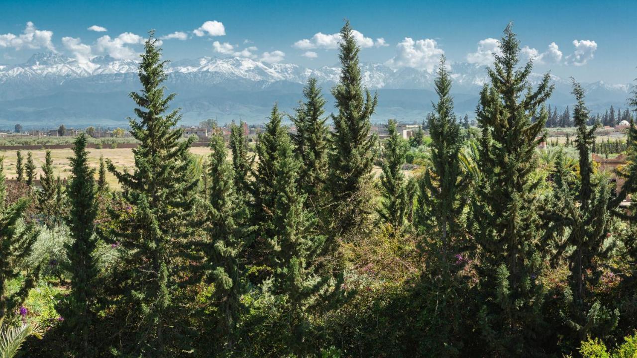 L'Oliveraie De L'Atlas Douar Caïd Layadi Eksteriør billede